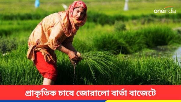 Union Budget 2024:বাজেটে প্রাকৃতিক চাষের উপর জোর, এক কোটি কৃষককে আনা হবে এই চাষের আওতায়