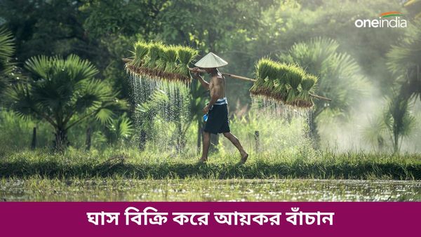 Income Tax Saving: ঘাস লাগিয়ে ১০০% আয়কর বাঁচান! এই ব্যক্তির পরামর্শের ভিডিও ভাইরাল