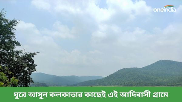 Travel: অনাহার অতীত, এখন ঘরের উঠোনে খেলা করে ময়ুর, ঘুরে আসুন কলকাতার কাছের এই অফবিট ডেস্টিনেশনে