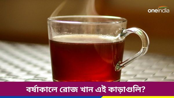 বর্ষাকালে এই ভেষজ কাড়াগুলিতেই দূর হবে রোগ সংক্রমণের ঝুঁকি, থাকবেন সুস্থও