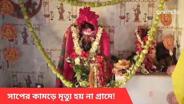 সাপের কামড়ে বিষ থাকে না! বর্ধমানের কোথায় হয় ঝংকেশ্বরীর পুজো?