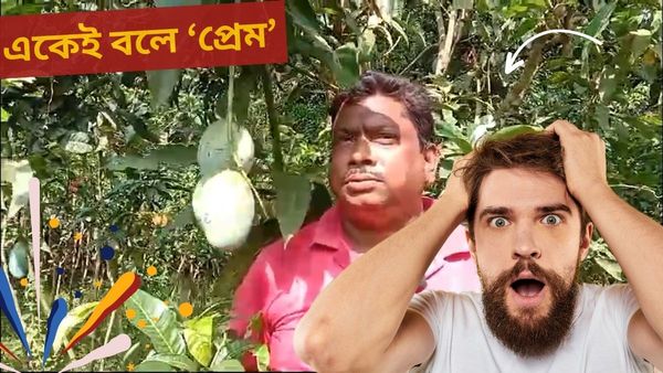 Mango lover Biman Mondal: প্রথম প্রেম! দীর্ঘ ৩০ বছর ধরে 'আমের সঙ্গেই সংসার' বিমানের