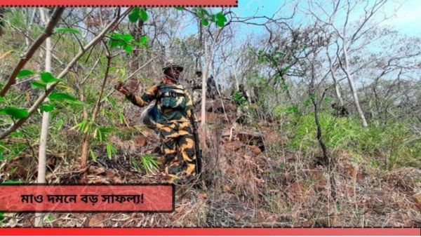 12 Naxals Killed In Encounter: বড় সাফল্য C-60 কমান্ডো বাহিনীর! বিশেষ অভিযানে নিকেশ ১২ মাওবাদী