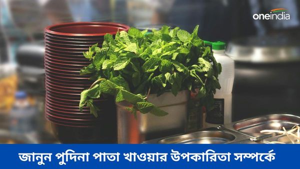 শরীরকে একদম চাঙ্গা রাখতে এই পাতার ওপর ভরসা রাখুন, দূর হবে মুখের দুর্গন্ধও 