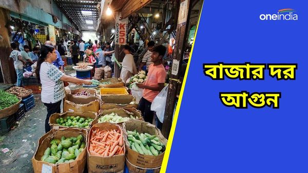 Market Price: সেঞ্চুরি পার করেছে বেগুন-কাঁচা লঙ্কা, ৩০০ টাকায় বিকোচ্ছে বিনস, বাজার দরে মাথায় হাত মধ্যবিত্তের