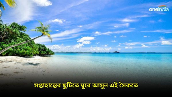 Travel: দিঘা-মন্দারমণি নয় ঘুরে আসুন কলকাতার কাছে অফবিট সমুদ্র সৈকতে