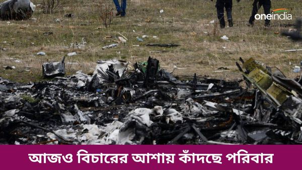 MH17 Disaster: মিসাইলের আঘাতে ধ্বংস হয় বিমান, ১০ বছর পরও বিচারের আশায় ২৮৩টি পরিবার