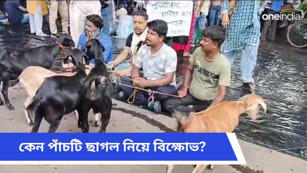 দুর্গাপুরে পাঁচটি ছাগল নিয়ে তৃণমূল নেতাদের বিরুদ্ধে প্রতীকী বিক্ষোভ বিজেপির