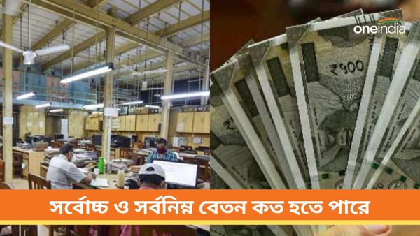 8th Pay Commission: অষ্টম বেতন কমিশনের দাবি সরকারি কর্মীদের! সর্বোচ্চ ও সর্বনিম্ন বেতন কত হতে পারে