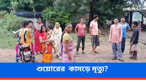 শুয়োরের দাপাদাপিতে নিরাপত্তাহীনতা! চারপেয়ের কামড়ে এক বৃদ্ধার মৃত্যুর অভিযোগকে ঘিরে চাঞ্চল্য বাঁকুড়ায়