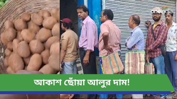 Potato Price In West Bengal: আকাশছোঁয়া দাম! একেবারে সস্তায় আলু কিনতে 'এখানে' লম্বা লাইন, জানেন কত?