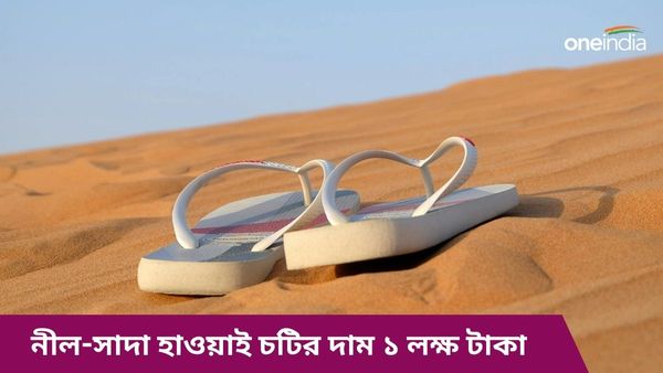 নীল-সাদা হাওয়াই চটির দাম ১ লক্ষ টাকা, ভাইরাল ভিডিওয় চক্ষু চড়কগাছ