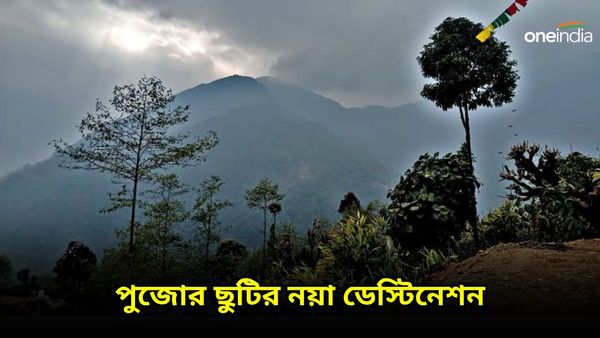 Travel: পুজোর ছুটিতে কোনও অচেনা ডেস্টিনেশনে যেতে চাইছেন? ঘুরে আসুন এই পাহাড়ি গ্রামে