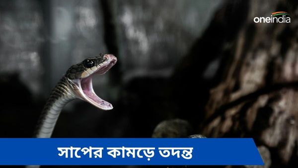 চল্লিশ দিনে সাতবার একই সাপের কামড়! বিষয়টি কোথায় সন্দেহের, যোগী রাজ্যে তদন্তকারী দল প্রশাসনের