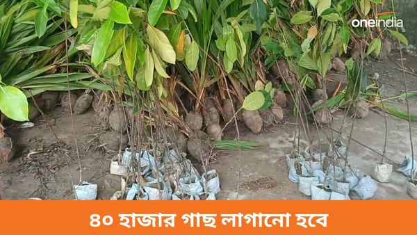 বাঁকুড়ার বিহারীনাথ পাহাড়ে এবার ৪০ হাজার গাছ লাগানোর উদ্যোগ বন দফতরের