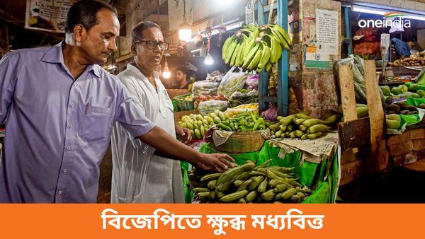 লোকসভা নির্বাচনের পরে বাজেটেও ক্ষুব্ধ! মধ্যবিত্তরাই ২০০৪-এর মতো পথের কাঁটা বিজেপির