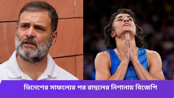 Paris Olympics: ‘চ্যাম্পিয়নরা মাঠেই সব উত্তর দেন’, ভিনেশের সাফল্যের পরই বিজেপিকে নিশা‌‌না রাহুলের 