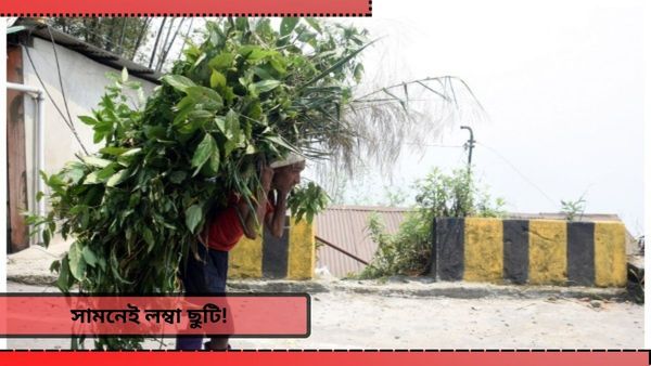 Durga Puja 2024: কম খরচে বেড়িয়ে আসার সরকারি সুবিধা, 'সবুজের হাতছানি' আনল লোভনীয় সুযোগ