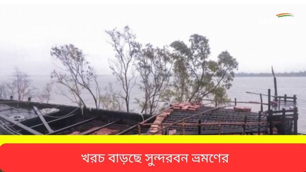 বর্ষায় ইলিশ উৎসবে মশগুল বাঙালি, সপ্তাহান্তের ছুটিতে সুন্দবন সফরের পরিকল্পনা, মোটা টাকা গুনতে হবে এবার