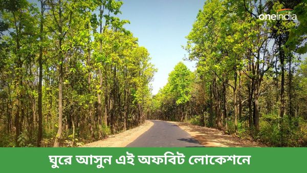 Travel: ঝিলিমিলি-মুকুট মনিপুর তো অনেকেই গিয়েছেন, এই বর্ষায় ঘুরে আসুন বাঁকুড়ার এই অফবিট লোকেশনে