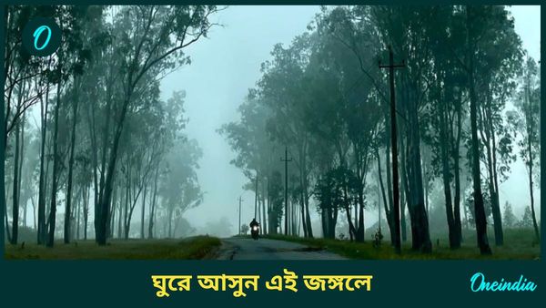 Travel: পাহাড়ের কোলে লুকিয়ে জঙ্গল, শোনা যায় বাঘের গর্জন, পুজোর ছুটির সেরা ডেস্টিনেশন হতে পারে এই জায়গা