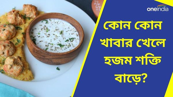 প্রোবায়োটিক খাবার কী, কোন খাবার মুখে দিলেই হু হু করে বাড়বে হজম ক্ষমতা, এগুলি কি রোজ খান?