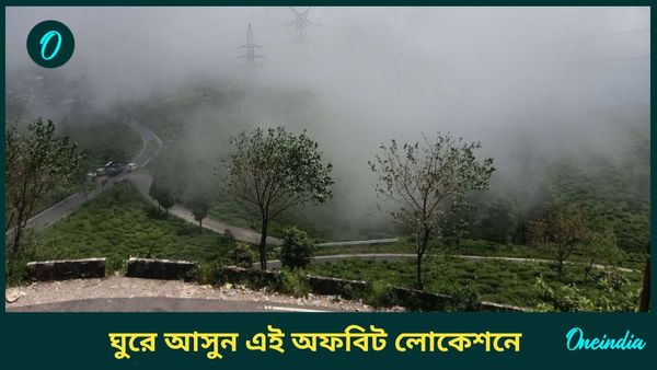 Travel: হোমস্টের ঘরে বসেই স্বর্গের দর্শন, ঘুরে আসুন কলকাতার কাছে এই অফবিট লোকেশনে