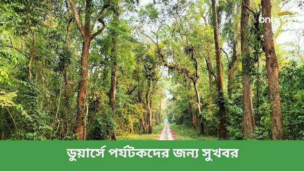 পুজোর ছুটিতে যাঁরা ডুয়ার্সে যাচ্ছেন তাঁদের জন্য বড় খবর, জঙ্গল সাফারি নিয়ে সুখবর শোনাল বনদফতর