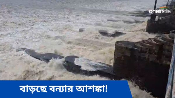 West Bengal Flood Situation: আলোচনা ছাড়াই এক লাখ কিউসেক জল ছাড়ছে ডিভিসি! ভয়ঙ্কর বিপদের আশঙ্কা বাংলায়