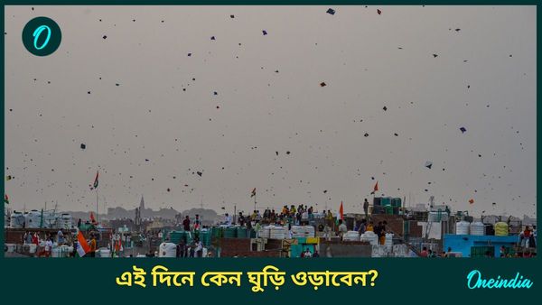 মনোযোগ বাড়ানো থেকে মানসিক চাপ কমাতে স্বাধীনতা দিবসে ঘুড়ি ওড়ান আপনিও!