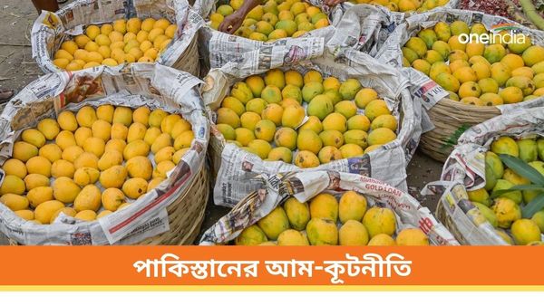 Mango diplomacy: রাহুল গান্ধী-সহ সাত বিরোধী সাংসদকে আম পাঠাল পাকিস্তান হাইকমিশন, কারা কারা পেলেন টুকরি