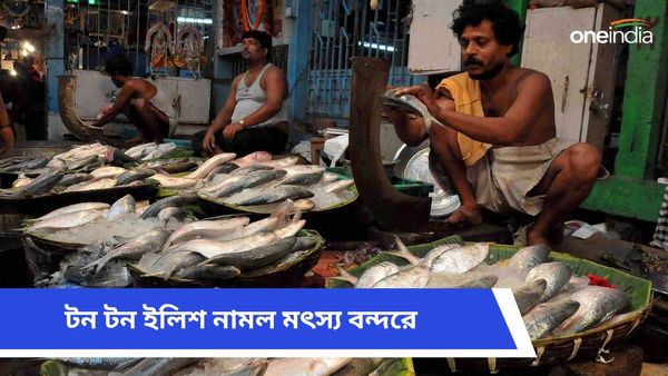 প্রচুর ইলিশ ধরা পড়ছে সমুদ্রে! বন্দরে হাসি মুখে ফিরছেন মৎস্যজীবীরা?