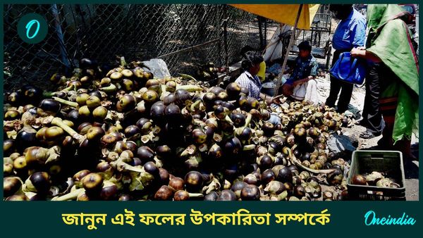 জন্মাষ্টমীতে গোপালকে দেবেন তো তালের বড়া, জানেন এই ফলের উপকারিতা সম্পর্কে