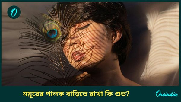আর্থিক উন্নতি থেকে দাম্পত্য জীবনে সুখী হতে জন্মাষ্টমীর আগেই বাড়িতে আনুন ময়ূরের পালক