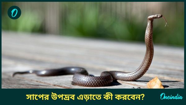 বাড়িতে আনাগোনা রয়েছে সাপের, ঝুঁকি এড়াতে হাতের কাছেই রাখুন এই জিনিসগুলি