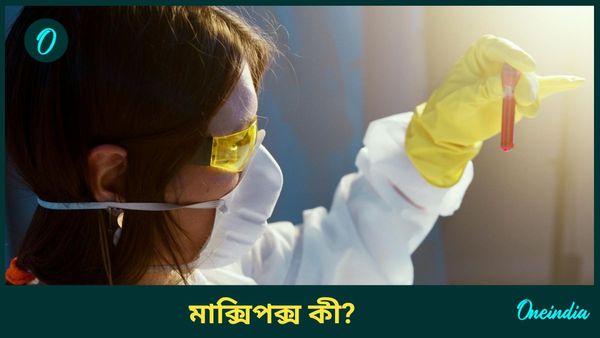 মাঙ্কিপক্স কী, লক্ষণ, কীভাবে এই রোগ ছড়ায়, ভাইরাসের ঝুঁকি কমাবেনই বা কীভাবে