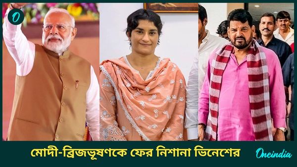 Vinesh Phogat: ‘কঠিন সময়ে পাননি কোনও সমর্থন’, মোদীকে নিশানা ভিনেশের, আক্রমণ করলেন ব্রিজভূষণকেও