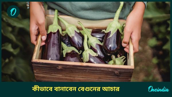 বেগুনের টক, মিষ্টি আচার খেয়েছেন কখনও, রুটি, পরোটার সঙ্গে খেতে আজই বানিয়ে ফেলুন 