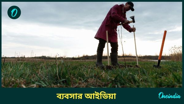 Jojoba Farming: মাত্র ১৫ টাকার গাছ, প্রতি লিটার ৭০০০ টাকায় বিক্রি হয় তেল! মোটা অঙ্কের রোজগার পাকা