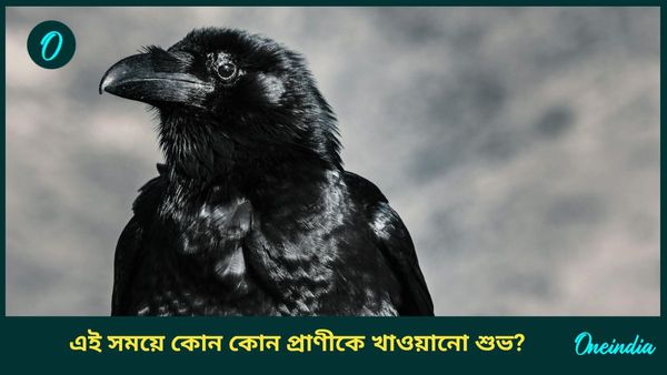 পূর্বপুরুষদের সন্তুষ্ট করতে পিতৃপক্ষের সময় এই প্রাণীদের খাওয়ানো শুভ