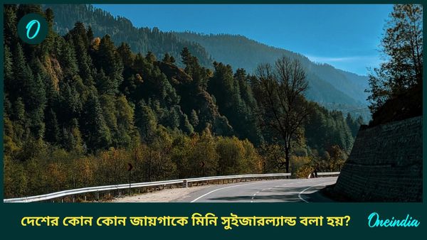 আপনার সুইজারল্যান্ড যাওয়ার ইচ্ছা পূরণ করতে পারে দেশের এই জায়গাগুলি