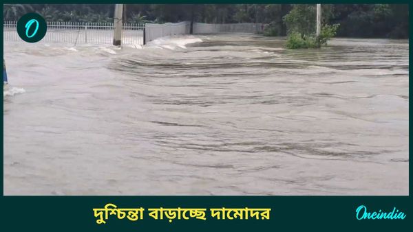 দামোদরের জলে ভাসছে রাজ্য সড়ক, চিন্তা বাড়িয়ে খুলল দুর্গাপুর ব্যারাজ