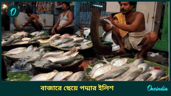 Hilsa Fish: এত ছোট! পদ্মার ইলিশের সাইজ দেখে মন ভরছে না বাঙালির, আর দাম? চমকে উঠবেন