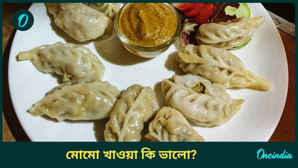 মোমোর টানে কাজ ফেলে ছুটে যাচ্ছেন দোকানে, কতটা নিরাপদ এই স্ট্রিট ফুড খাওয়া?  