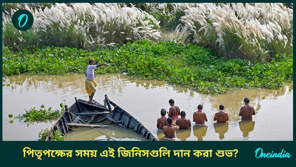 পিতৃপক্ষের সময় কালো তিল সংক্রান্ত এই প্রতিকারগুলি মানলে পিতৃদোষ দূর হবে, হবে আর্থিক লাভও