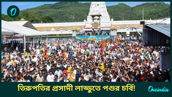 তিরুপতি মন্দিরের প্রসাদী লাড্ডুতে পশুর চর্বি, মাছের তেল! রিপোর্ট দেখেই জোর বিতর্ক, সিবিআই তদন্ত দাবি