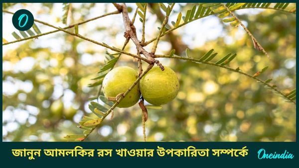 গুণে ঠাসা এক টুকরো আমলকি, রোজ রস খেলেই পালাবে কোষ্ঠকাঠিন্য থেকে অ্যাসিডিটি