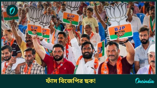 Jammu kashmir Election Result 2024: ভূস্বর্গের ক্ষমতায় আসছে বিজেপি! কীভাবে? রণকৌশল ফাঁস করলেন বিজেপি নেতাই