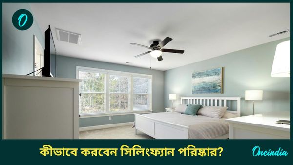 পুজোর আগে কোনও ঝক্কি ছাড়াই এই উপায়ে সিলিংফ্যান করুন পরিষ্কার 