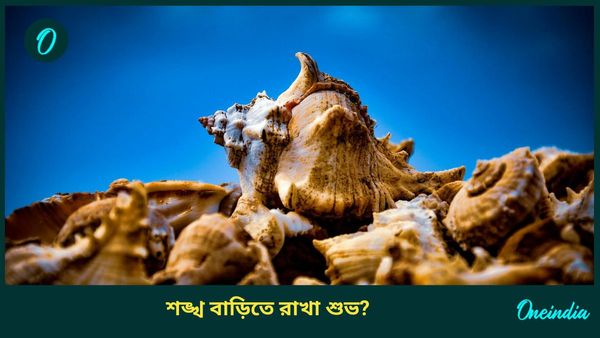 মা লক্ষ্মীর কৃপা পেতে ও আর্থিকদিকে উন্নতি করতে দীপাবলির আগে বাড়ির এই দিকে রাখুন শঙ্খ